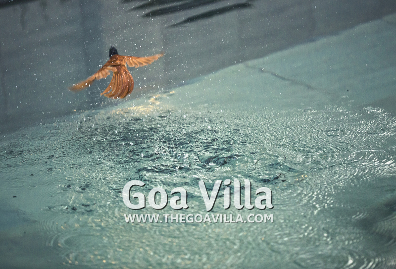 Villa Hillside Assagao