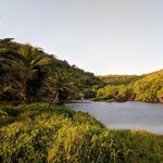 Goa Arambol Beach Gallery: Sunset, The Beach, Sweet Lake, Mountains, photo 9