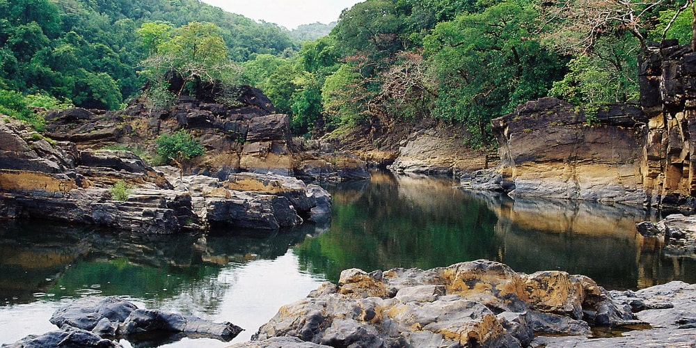 Cotigao Wildlife Sanctuary in Goa