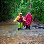 Monsoon Dudhsagar Waterfall, photo 26