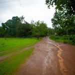 Monsoon Dudhsagar Waterfall, photo 32