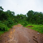 Monsoon Dudhsagar Waterfall, photo 7