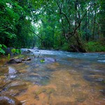 Monsoon Dudhsagar Waterfall, photo 39