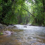Monsoon Dudhsagar Waterfall, photo 25