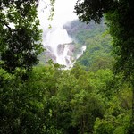 Monsoon Dudhsagar Waterfall, photo 18
