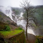 Monsoon Dudhsagar Waterfall, photo 20