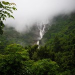 Monsoon Dudhsagar Waterfall, photo 35