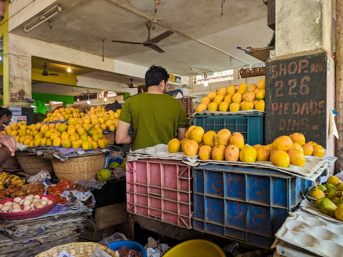 Fruits of Goa Guide 2019]