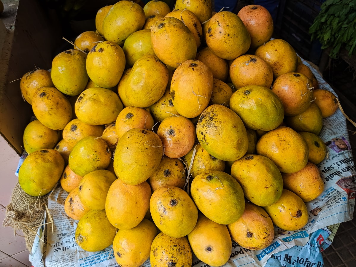 Fruits of Goa Guide 2019]