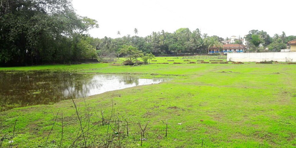 Goa In June 2020 Best Things To Do In June Places To See