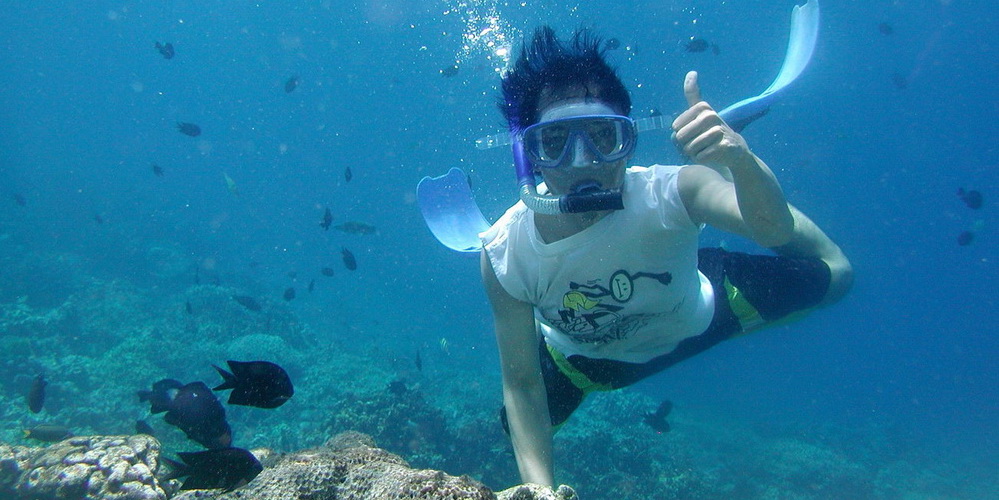 Top 12 Best Things to Do in Goa 2019 (with Photos)