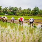 Goa Margao, photo 15