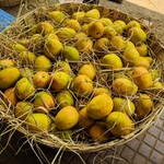 Goa April Gallery: Markets, Fruits, Weather, Beaches, photo 8