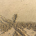 Goa May Gallery: Markets, Fruits, Weather, Beaches, photo 8