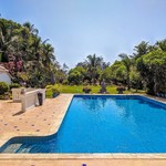 Goa May Gallery: Markets, Fruits, Weather, Beaches, photo 22