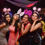 New Year in Goa, photo 7