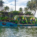Goa Sao Joao Festival, photo 19
